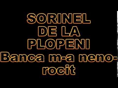 SORINEL DE LA PLOPENI BANCA M A NENOROCIT