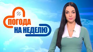 Гололёд и мокрый снег! Прогноз погоды с 24 по 29 декабря | Погода в Беларуси | Плюс-минус