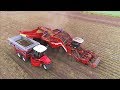 Potato Harvesting | Grimme Ventor 4150 & Vervaet Hydro Trike xl | Ploegmakers Rips