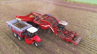 Potato Harvesting | Grimme Ventor 4150 & Vervaet Hydro Trike xl | Ploegmakers Rips