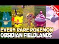 Every Rare Pokemon in Obsidian Fieldlands - Pokemon Legends Arceus