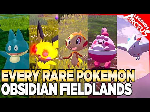 Every Rare Pokemon in Obsidian Fieldlands - Pokemon Legends Arceus