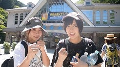 煩悩paradox Youtube 煩悩paradox Youtube