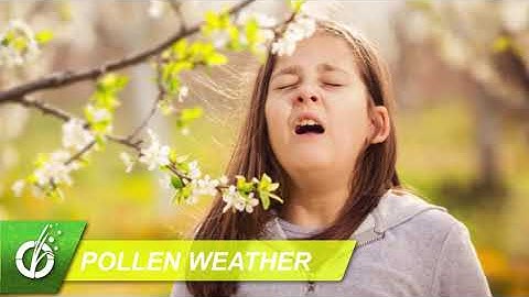 Seasonal Allergy Forecast: Keep an Allergy Journal August 11, 2020