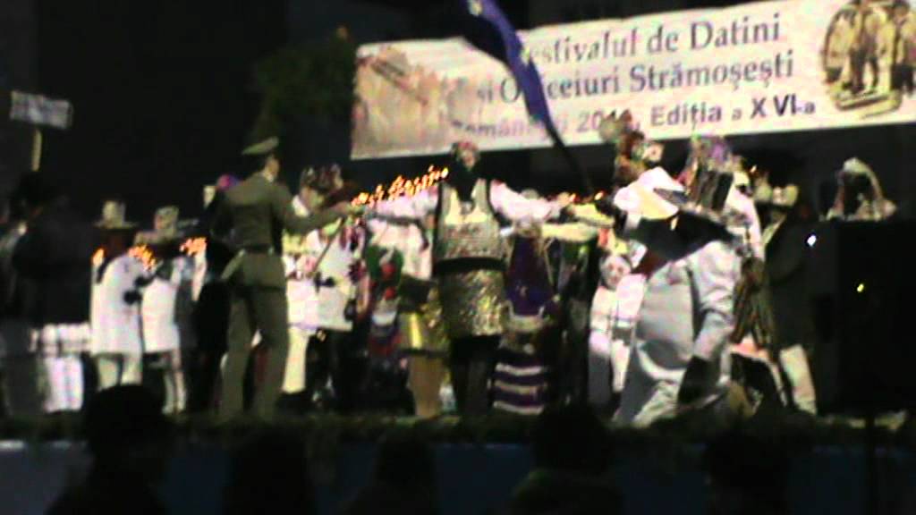 Capra din Enachesti la Comanesti 2011