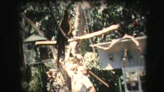 Parrot Jungle Miami FL 1970s part 1