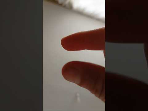 من فوق رمش العين الغره مياله صلو على النبي العروس غزاله التراث الشامي فلسطين اكسبلور تحشي  تحشيش