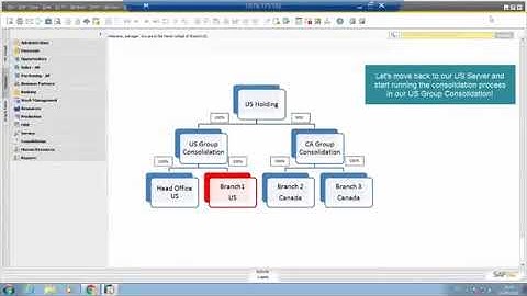 SAP Business One Intercompany: Financial Consolidation
