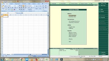 Tally Integration with MS Excel