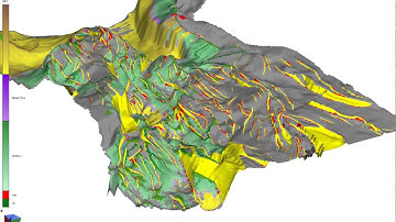 Migration simulation