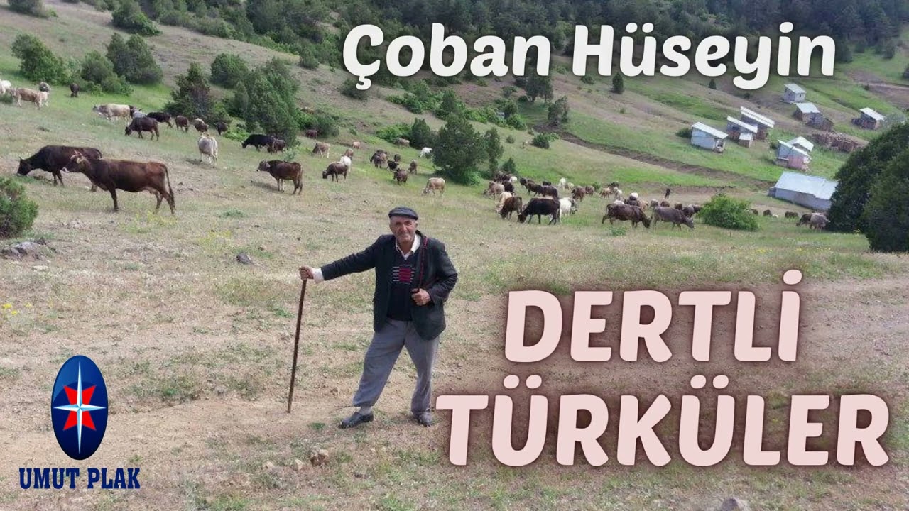 Yürek sızlatan anlar