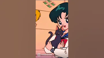 ¡Eso es una Sailor Scout! | Sailor Moon