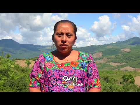 Qeq - Q'eqchi'