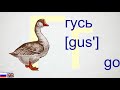 Russian alphabet. Learn Russian letters easily and quickly. Letter Гг [g]