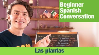 Spanish for Beginners | Plants