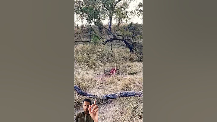 Leopard Steals Meal from Hyena 🙀 #hyena #wildlife #leopard