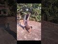 calisthenic challenge , #content #calisthenics #strengthtraining #minivlogshorts #gymmotivation