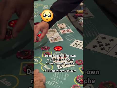 grab cashback bonus at Jackpot Bob Casino