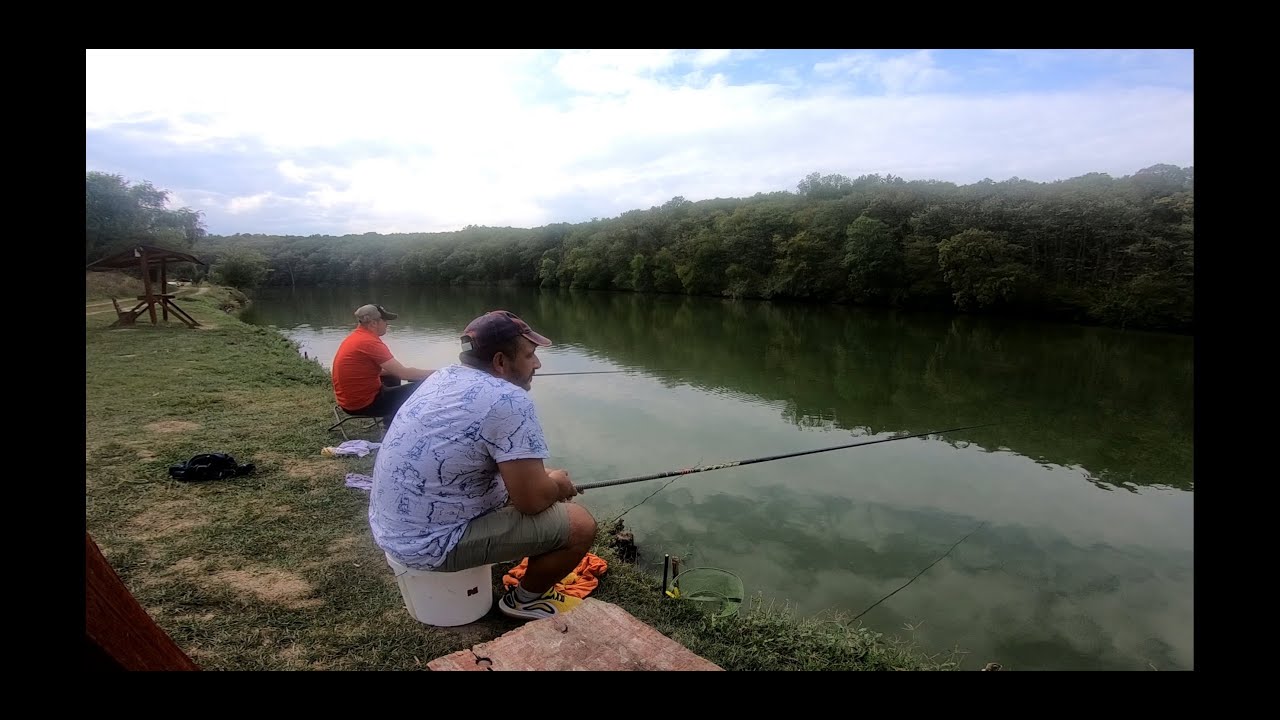 O frumusețe pe balta de pescuit Cozieni