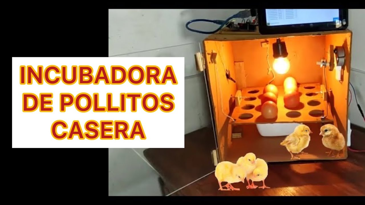 incubadora de casimeritos