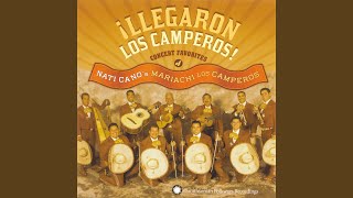 Video thumbnail of "Mariachi los Camperos - Jarocho I"