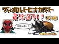 甲虫王チャンネル　第36話　最終選別！フンボルトヒナカブト５連掘り出し！(前編)