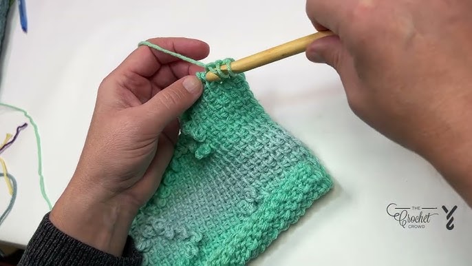 Susan Bates Twist + Lock Deluxe Crochet Hook Set 