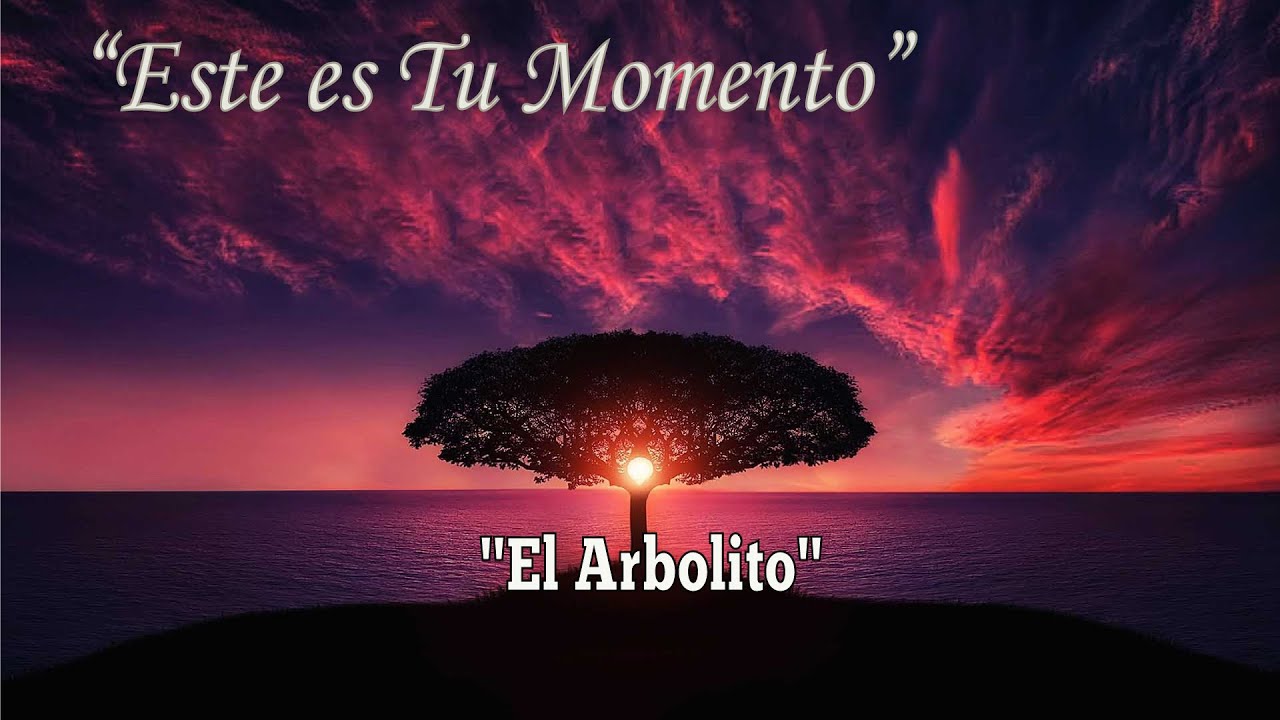 El arbolito - reflexión sobre la crianza de los hijos