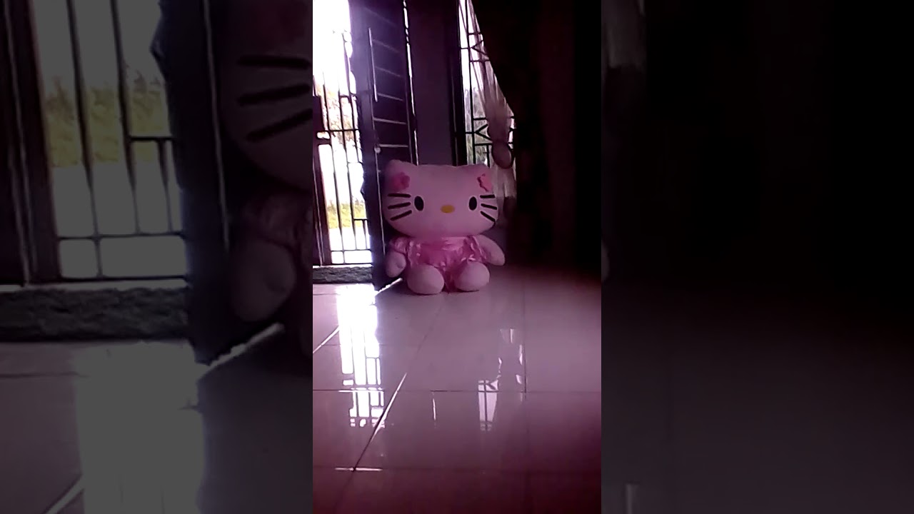 Boneka Hello Kitty Bergerak Sendiri Youtube Boneka Hello Kitty Bergerak Sendiri Youtube