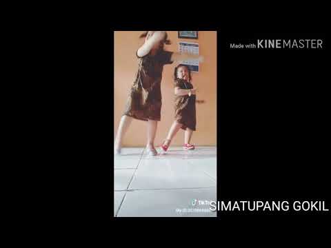 VIDEO TIK TOK ,KAKAK ADIK LAGI VIRAL .