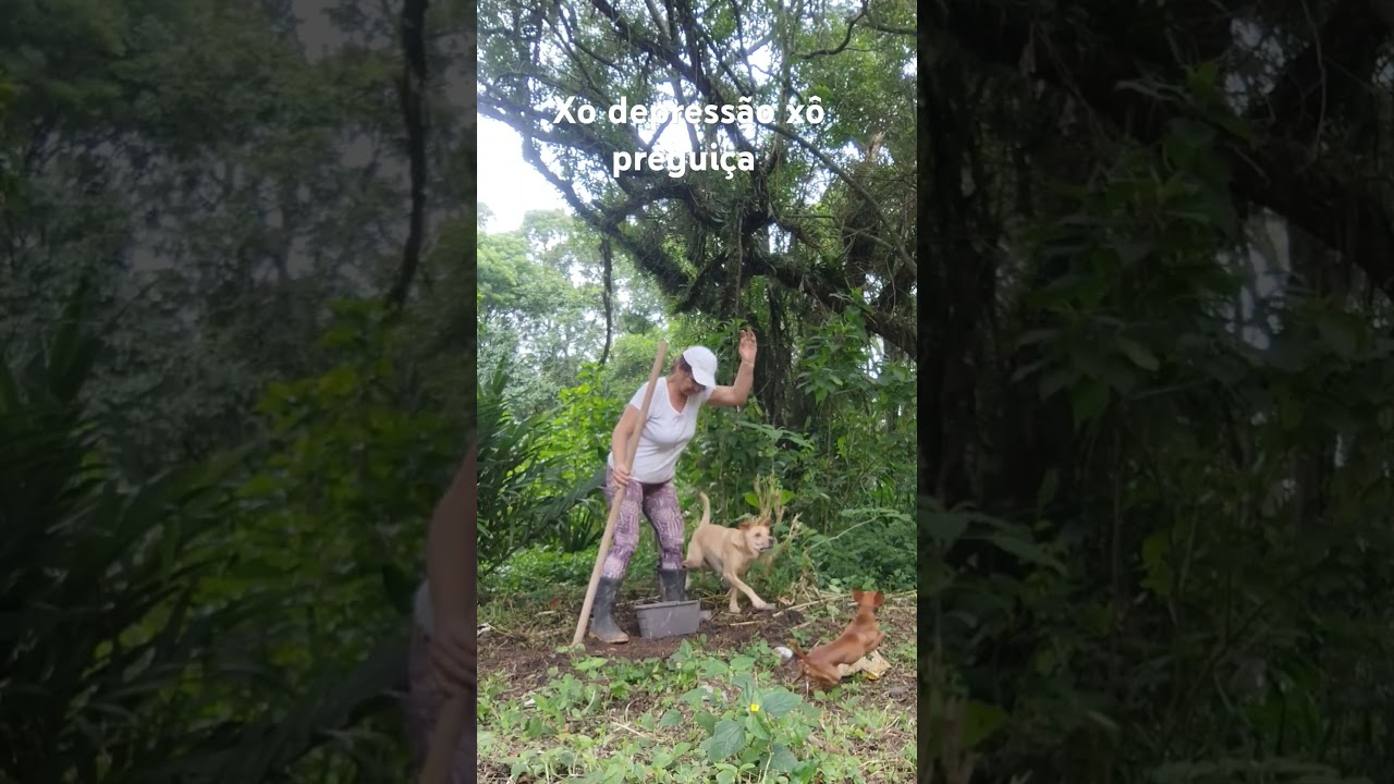 O PODER DO PENSAMENTO 🌹🌹🌹🌹🌹🌹🌹