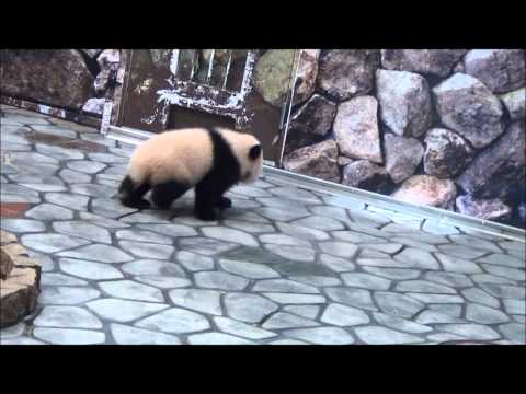 201301走る優浜