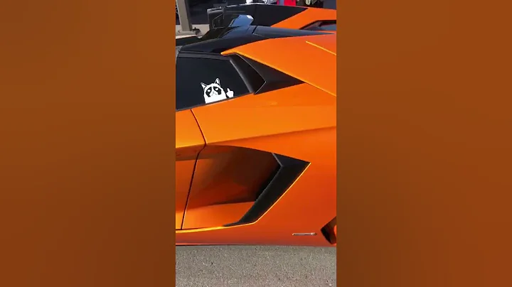 SO MUCH FIRE! $600,000 Lamborghini Aventador Roads...
