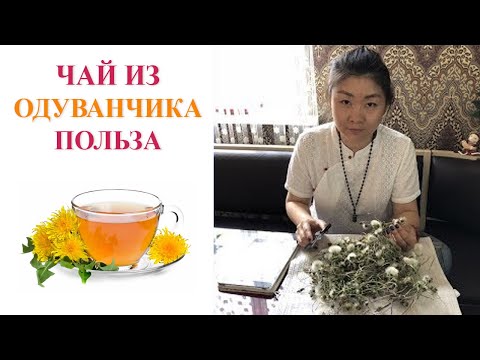 Чай из одуванчика | Полезные свойства чая из одуванчика