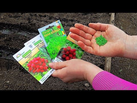 Первые посевы в апреле. Что можно посеять в открытый грунт.