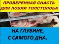 Самая уловистая оснастка для ловли толстолобика со дна.Ловля на технопланктон  или гидропланктон.