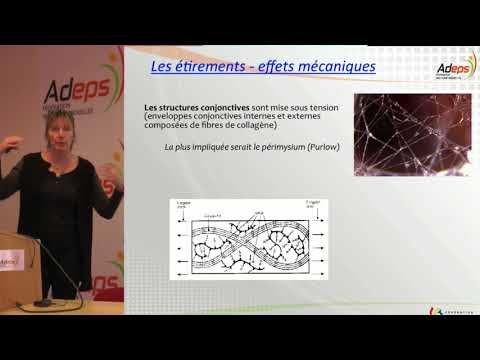 Optimisation de la souplesse en vue de la performance 1
