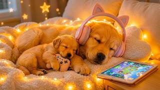 Sleep Music for Dogs 🐶 Deep Calming Sounds for Anxiety Relief and Peaceful Bedtime Rest screenshot 4