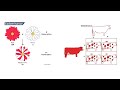 Genetics Made Easy: Dominant, Recessive, Codominance & X-Linked Traits Explained!