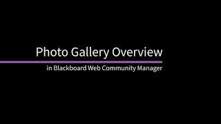 Photo Gallery Overview in Web Community Manager screenshot 5