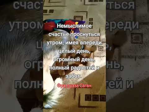 С добрым утром! ☀ С новым днём! ❤ #доброеутро #shorts