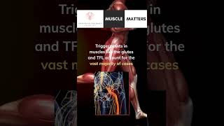 Shocking Sciatica Secrets: NOT the sciatic nerve, how to get lasting relief! #shorts #sciatica