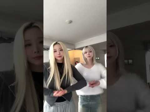 LDR Shoti Speed Up Ldr Dance Speedup Dancechallenge Shortvideo 댄스챌린지 