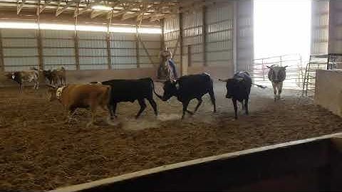 Flys 1st time team sorting