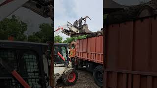 2021 Bobcat S650 ShawTree