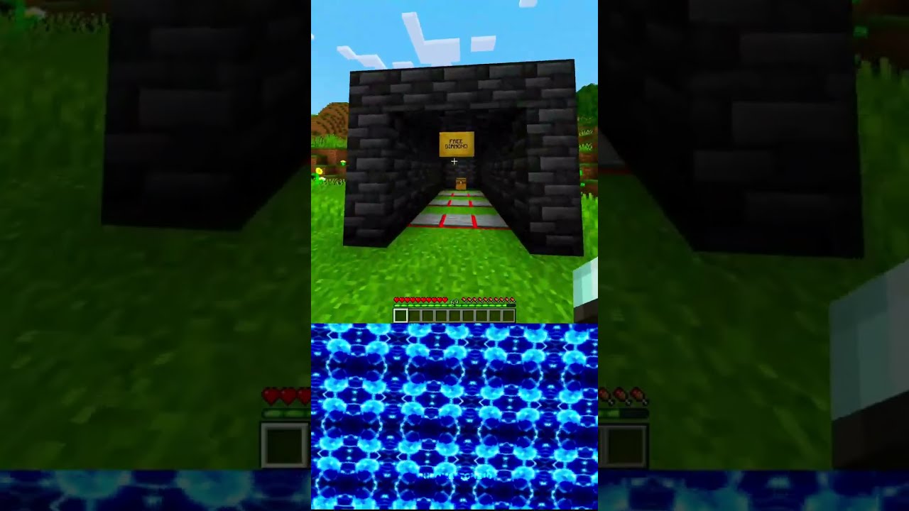 6923 Iq Vs 6969 Minecraft World S Smallest Violin Shorts