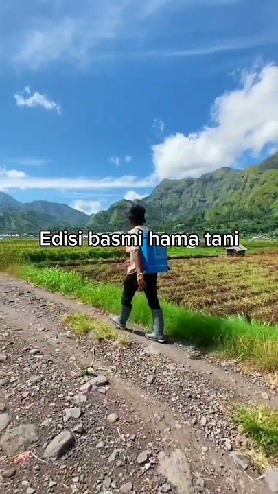 Begini pemandanganku saat bekerja