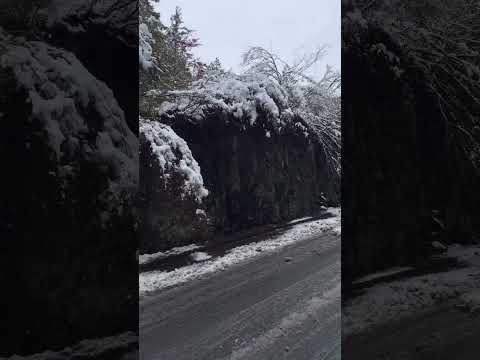 昨日の雪は凄かった。テントが潰れて、山の桜の木も折れました😵