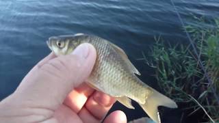 Рыбалка В Николаеве. Возвращение На Мостик.