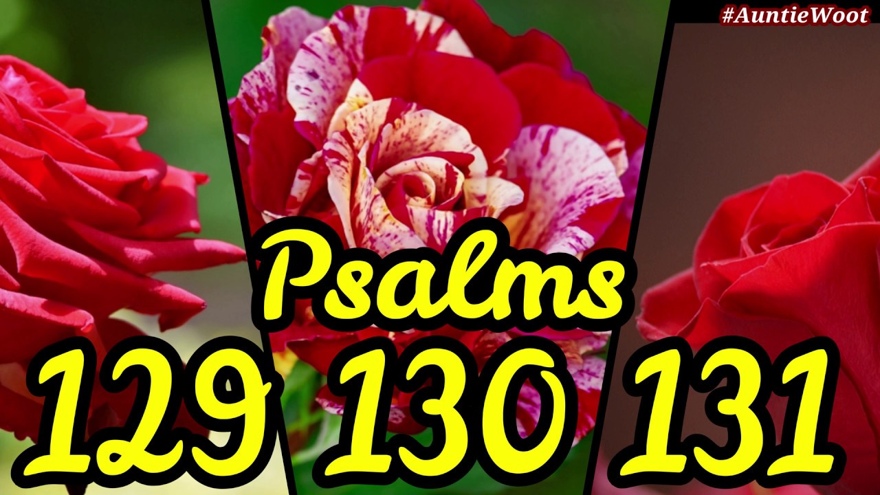 Psalms 129 130 131 King James Version KJV KJB Audiobook With psalms-129-130-131-king-james-version-kjv-kjb-audiobook-with